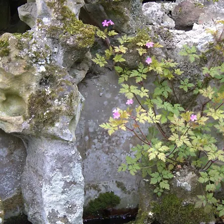 16th Century Heritage House With Private Garden Casa vacanze